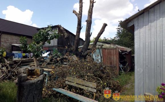 Графік рейдів із перевірки дотримання правил благоустрою в Рожищі